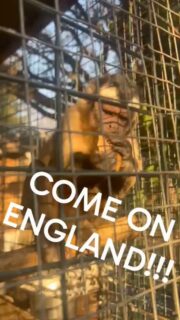 Our residents getting behind the #england team to support our #volunteer coordinator @lizzyejl tomorrow!!!
#football #fyp 🤞🤞🤞🤞#reelitfeelit